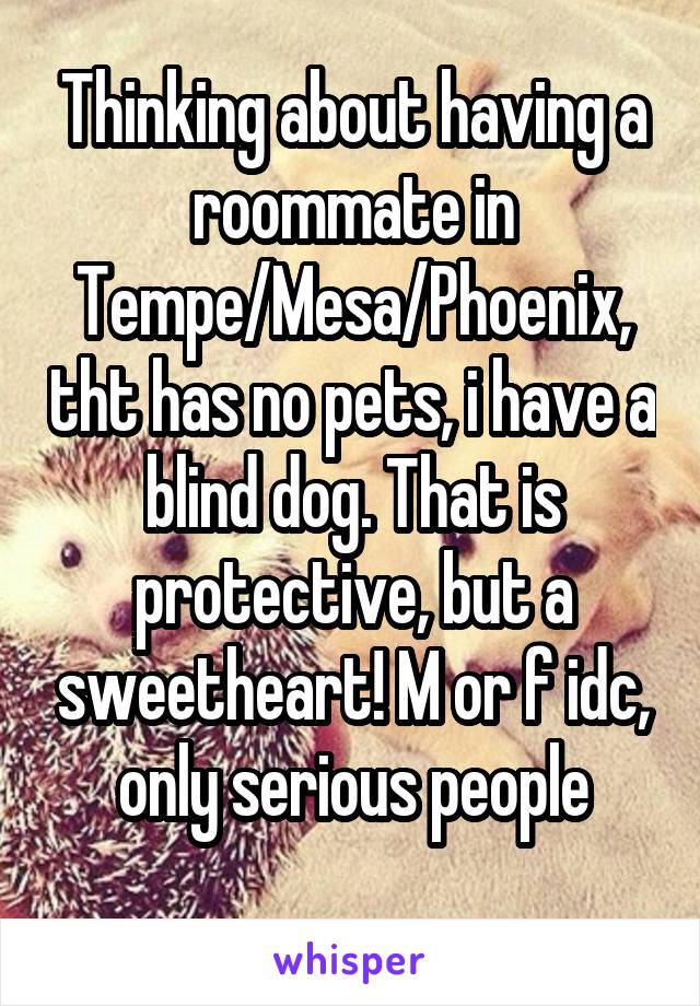 Thinking about having a roommate in Tempe/Mesa/Phoenix, tht has no pets, i have a blind dog. That is protective, but a sweetheart! M or f idc, only serious people
