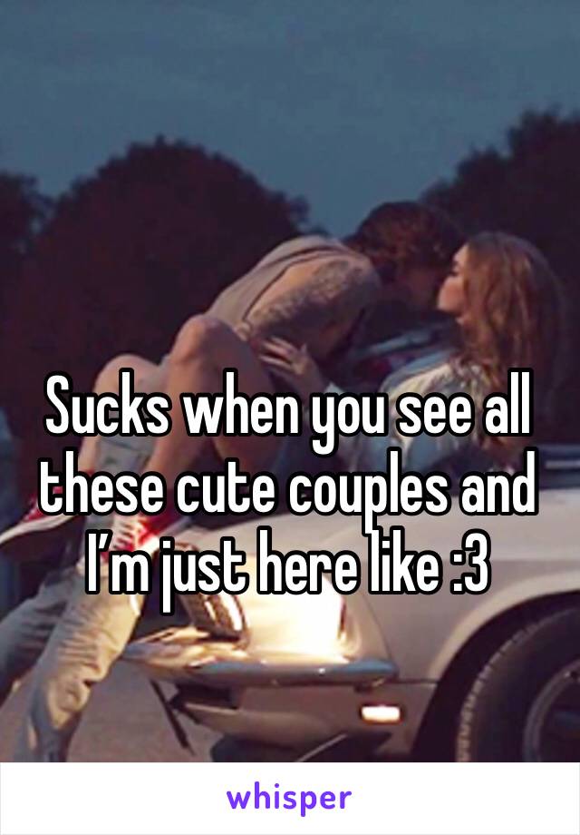 Sucks when you see all these cute couples and I’m just here like :3