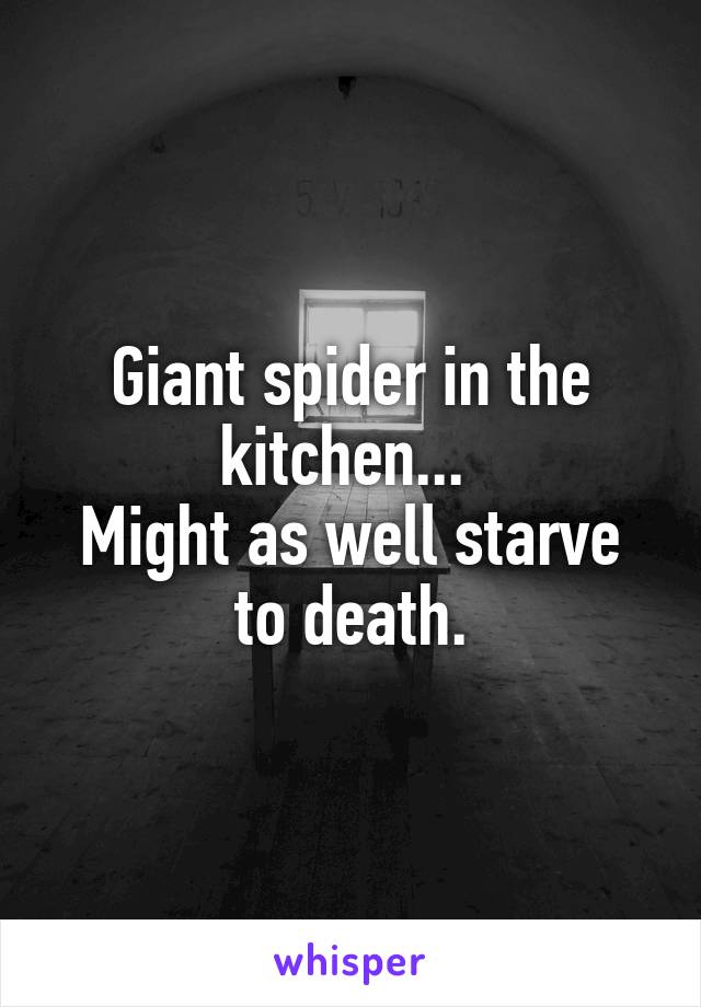 Giant spider in the kitchen... 
Might as well starve to death.