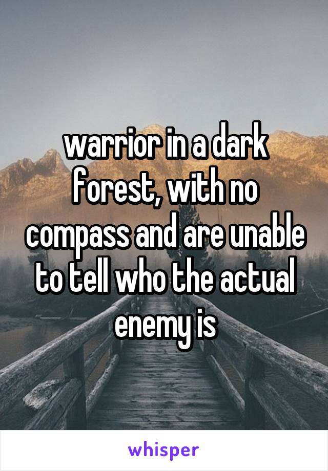 warrior in a dark forest, with no compass and are unable to tell who the actual enemy is