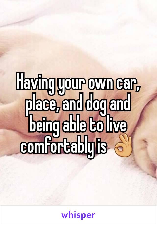 Having your own car, place, and dog and being able to live comfortably is 👌