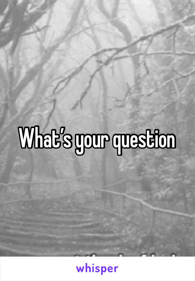 What’s your question 