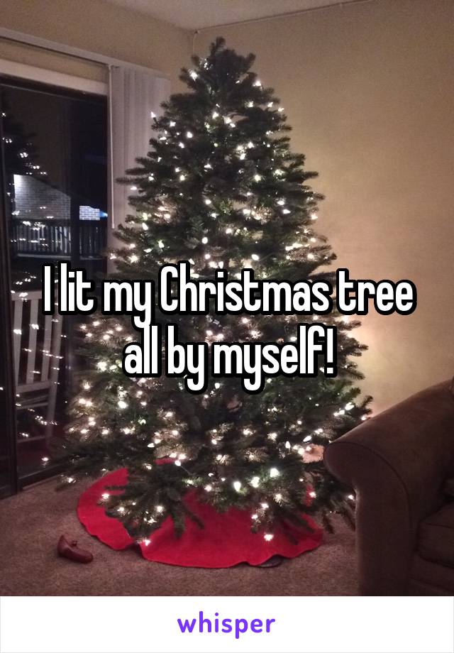I lit my Christmas tree all by myself!