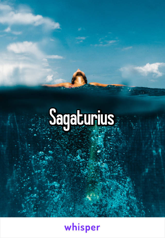 Sagaturius 