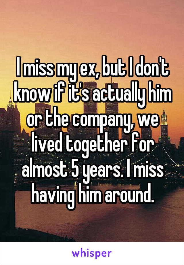 I miss my ex, but I don't know if it's actually him or the company, we lived together for almost 5 years. I miss having him around.