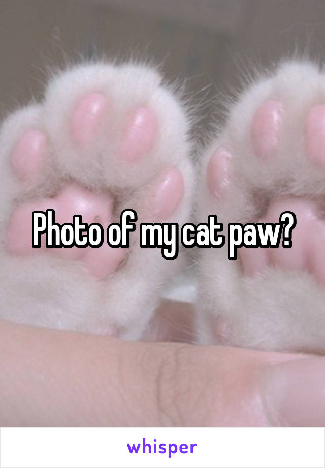 Photo of my cat paw?
