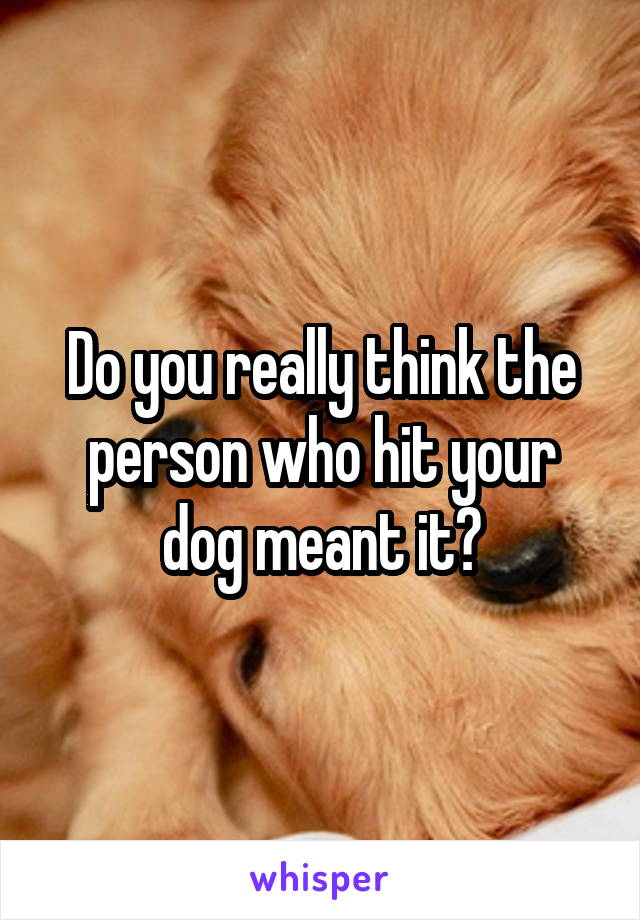 Do you really think the person who hit your dog meant it?