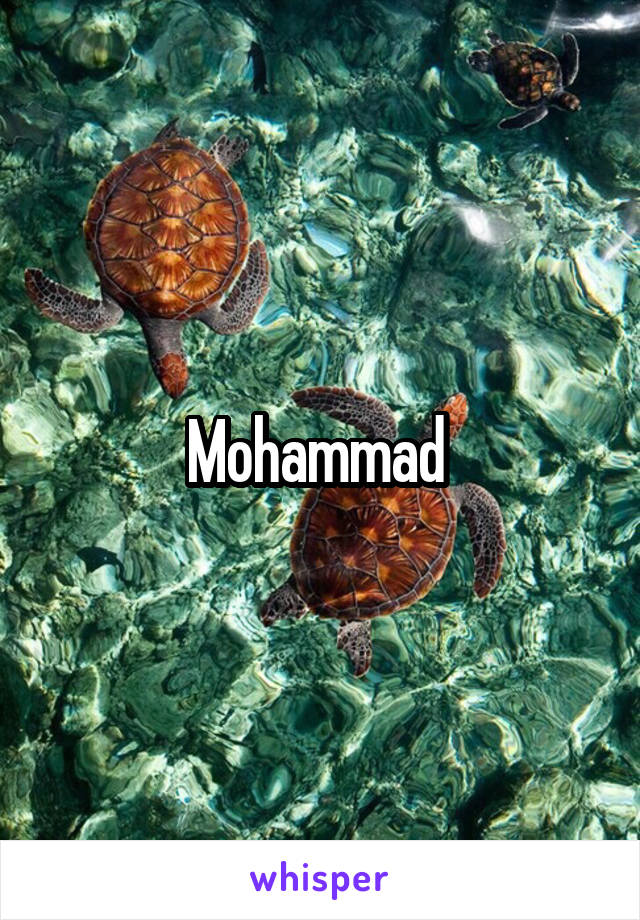 Mohammad 