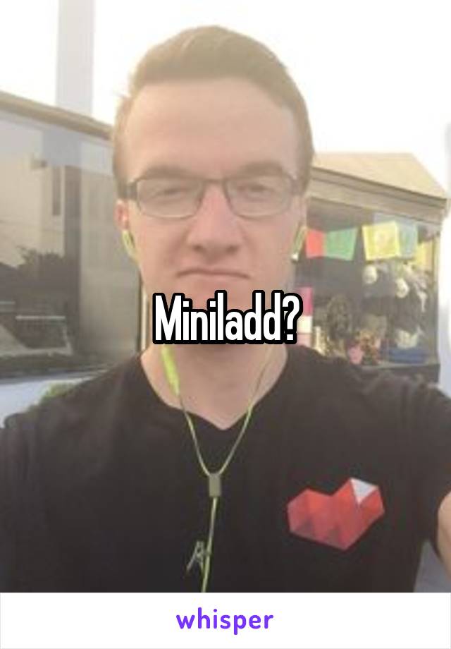 Miniladd?