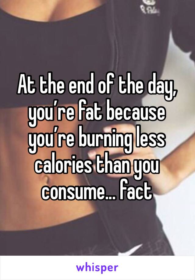 At the end of the day, you’re fat because you’re burning less calories than you consume... fact 