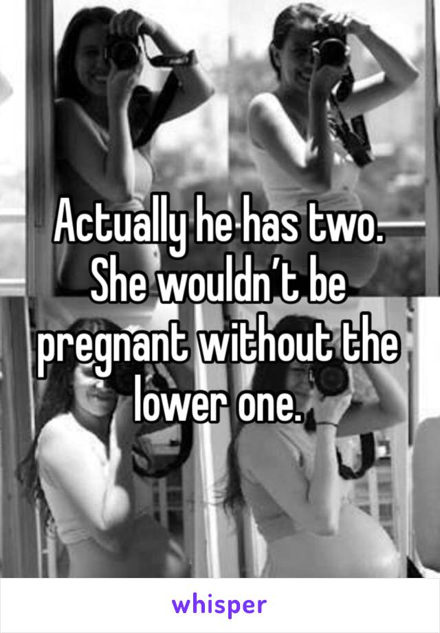 Actually he has two. 
She wouldn’t be pregnant without the lower one. 