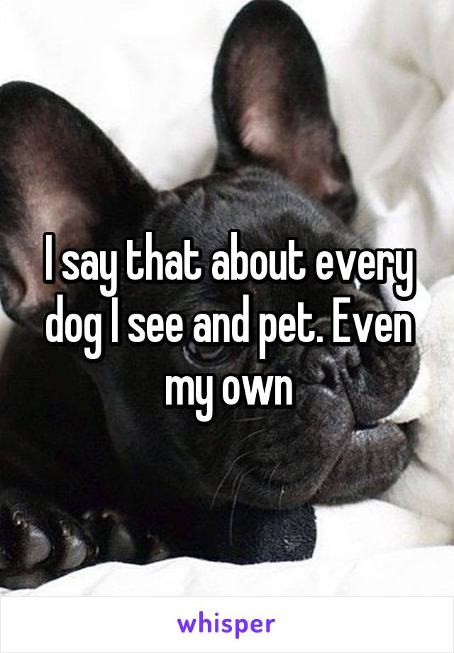 I say that about every dog I see and pet. Even my own