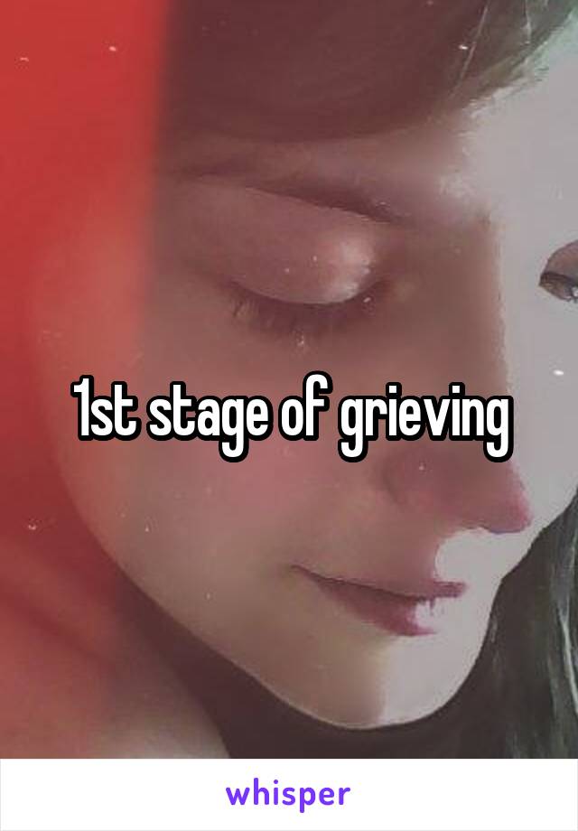 1st stage of grieving