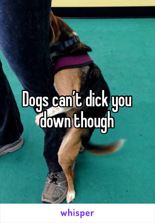 Dogs can’t dick you down though 