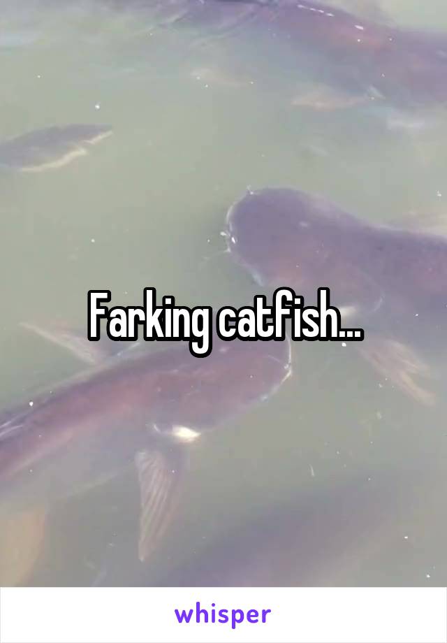 Farking catfish...