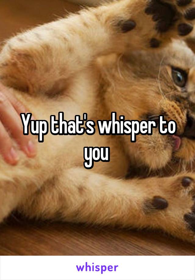 Yup that's whisper to you 