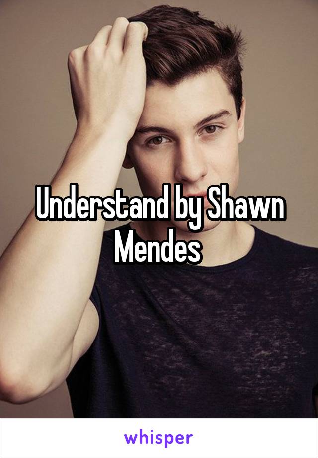 Understand by Shawn Mendes 