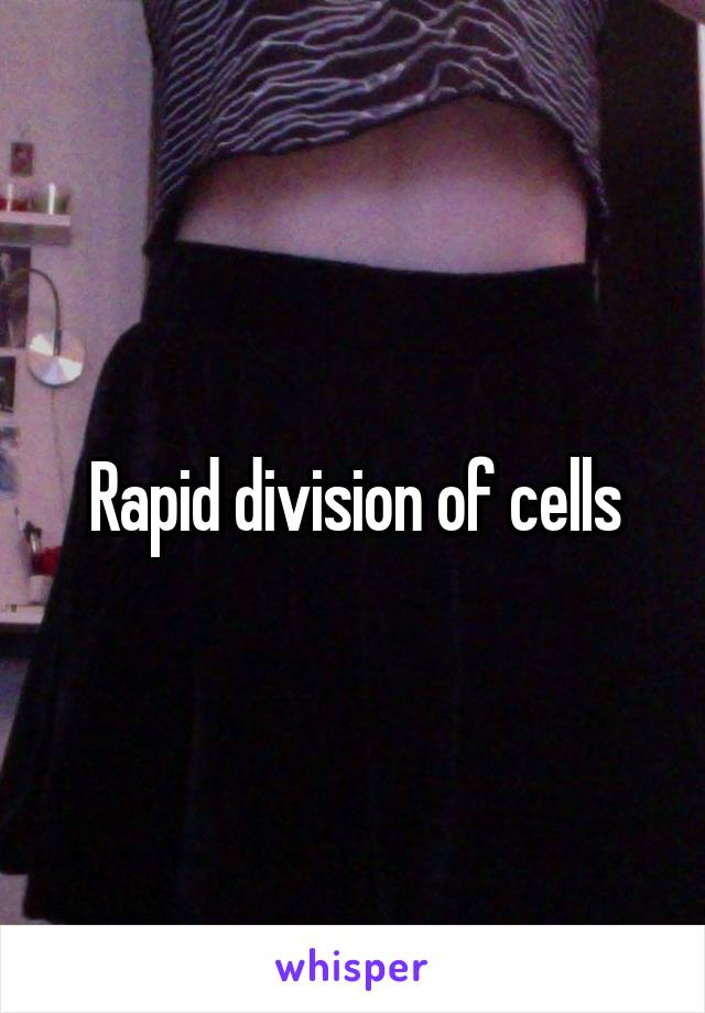 Rapid division of cells