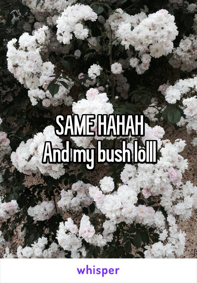SAME HAHAH
And my bush lolll