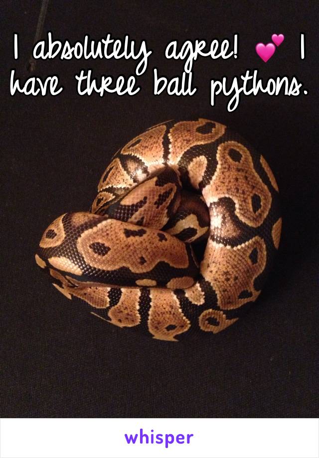 I absolutely agree! 💕 I have three ball pythons.