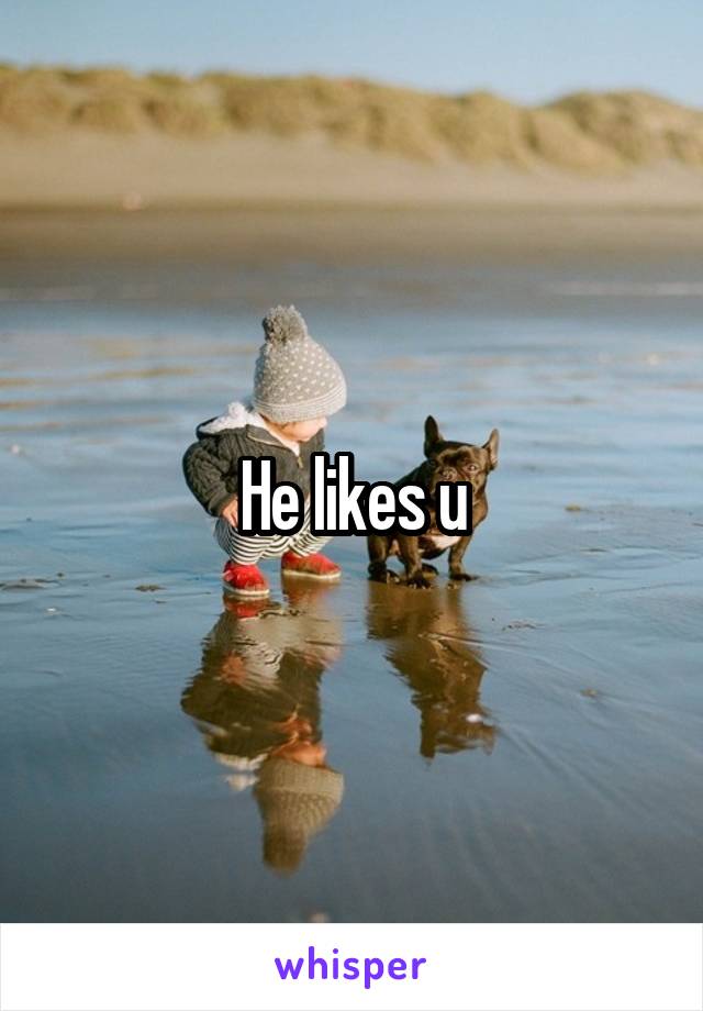 He likes u