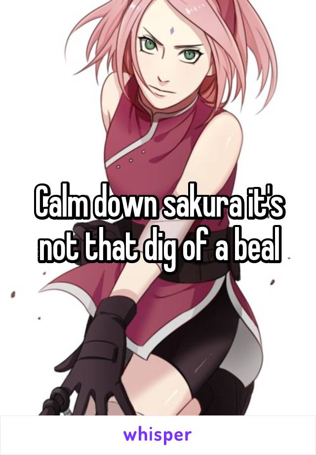 Calm down sakura it's not that dig of a beal