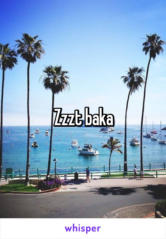 Zzzt baka