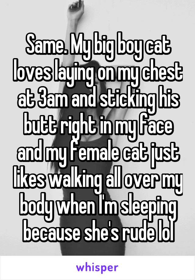 Same. My big boy cat loves laying on my chest at 3am and sticking his butt right in my face and my female cat just likes walking all over my body when I'm sleeping because she's rude lol
