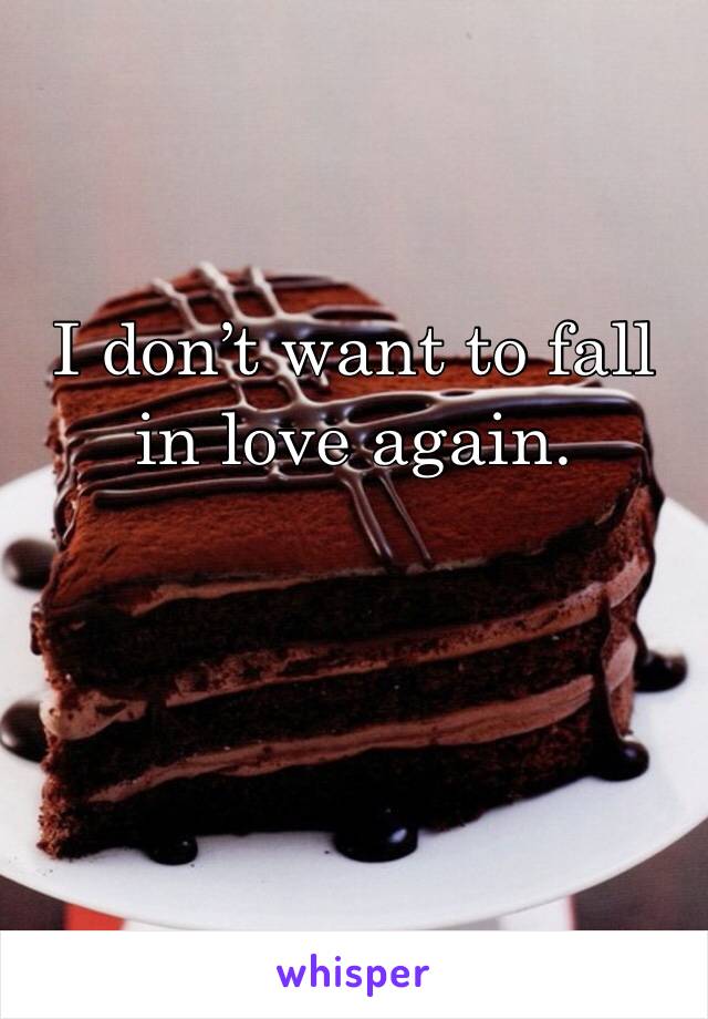 I don’t want to fall in love again. 