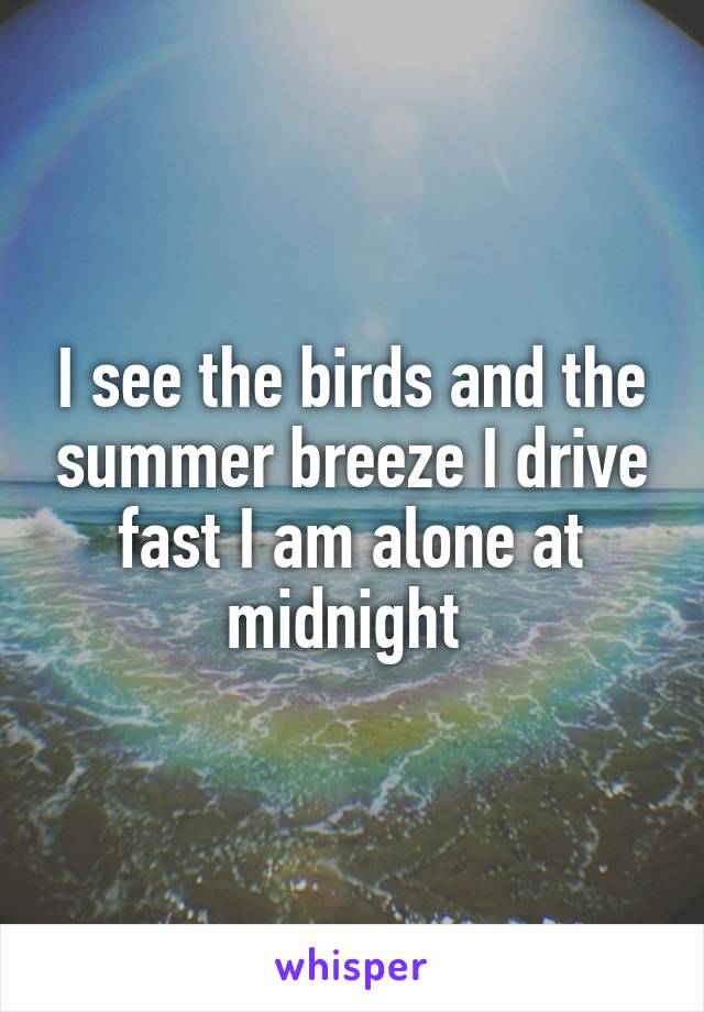 I see the birds and the summer breeze I drive fast I am alone at midnight 