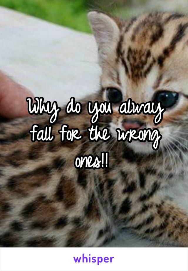 Why do you alway fall for the wrong ones!! 