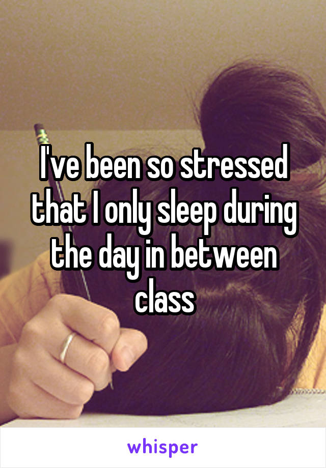 I've been so stressed that I only sleep during the day in between class