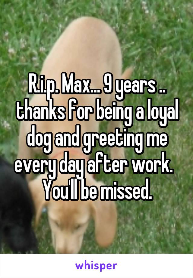 R.i.p. Max... 9 years .. thanks for being a loyal dog and greeting me every day after work.   You'll be missed.