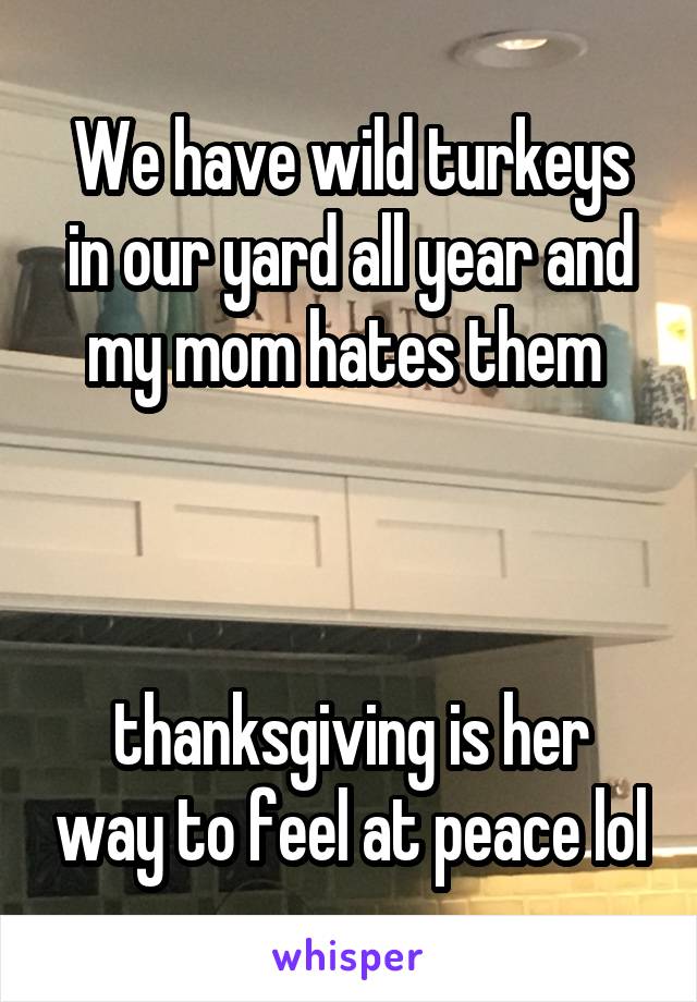 We have wild turkeys in our yard all year and my mom hates them 



thanksgiving is her way to feel at peace lol