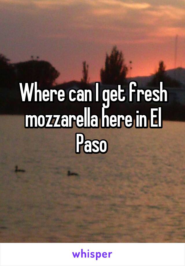 Where can I get fresh mozzarella here in El Paso 
