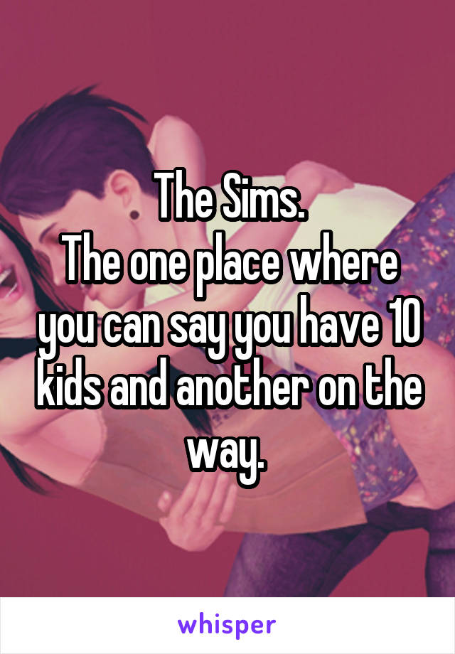The Sims.
The one place where you can say you have 10 kids and another on the way. 