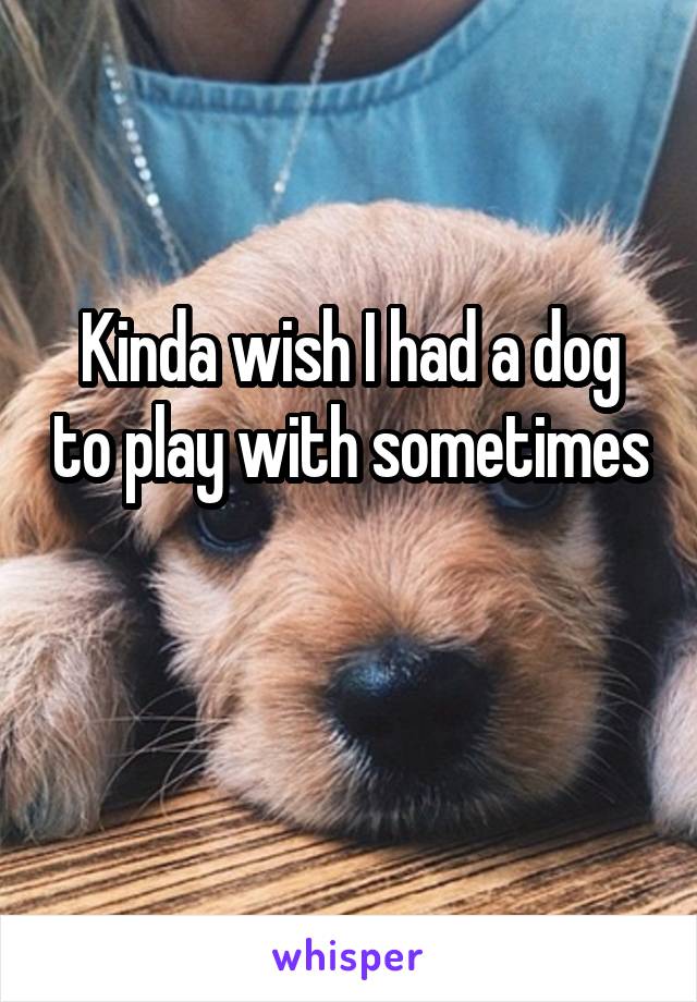 Kinda wish I had a dog to play with sometimes 
