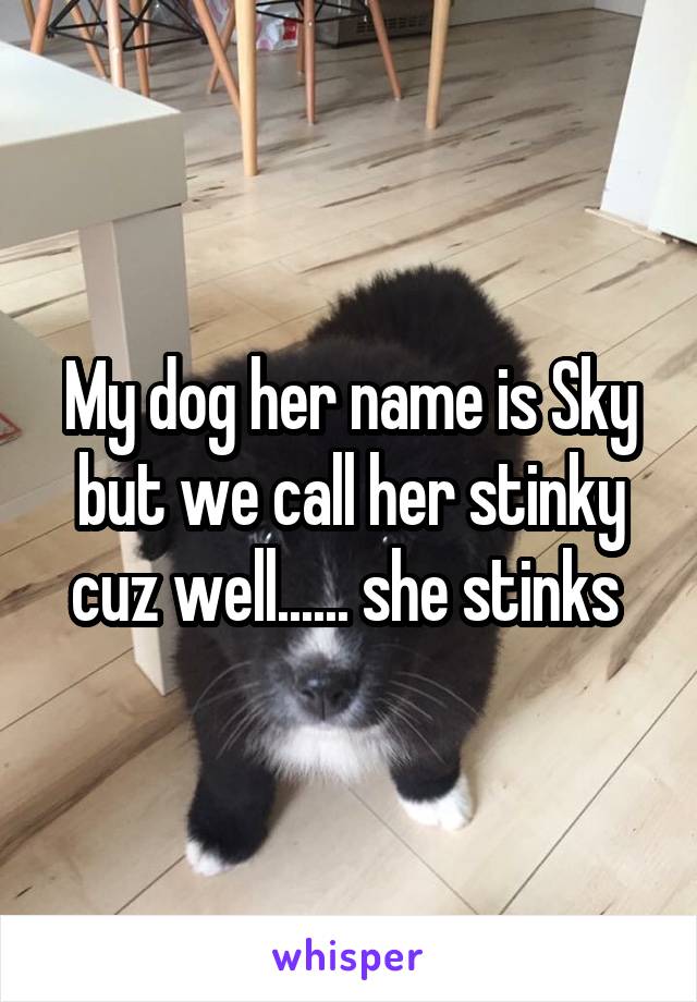 My dog her name is Sky but we call her stinky cuz well...... she stinks 
