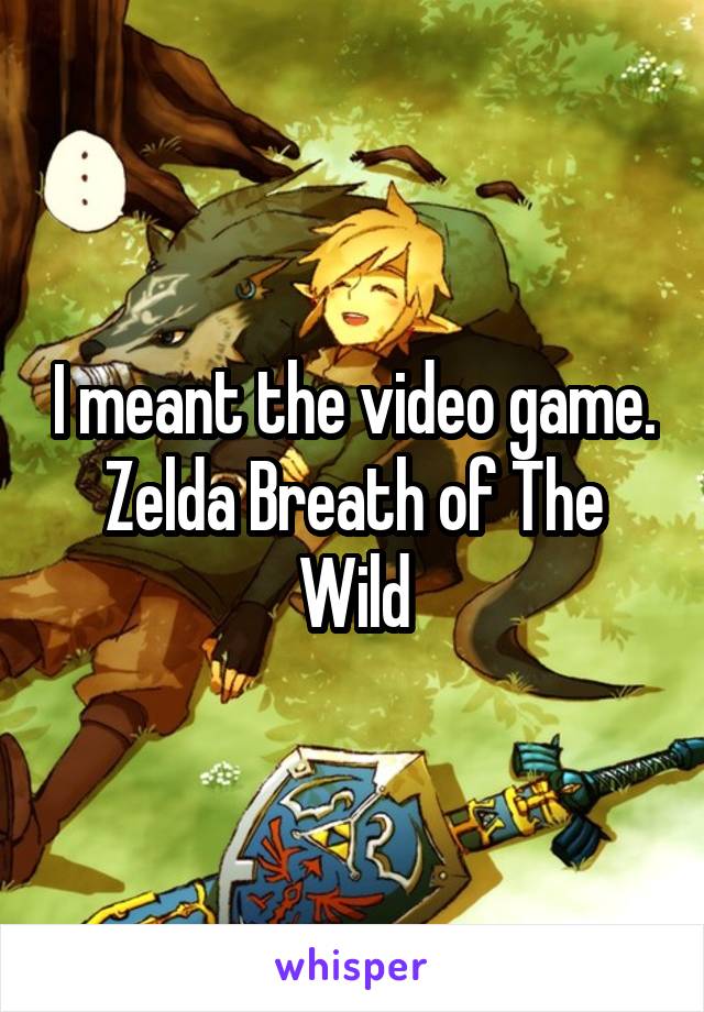 I meant the video game. Zelda Breath of The Wild