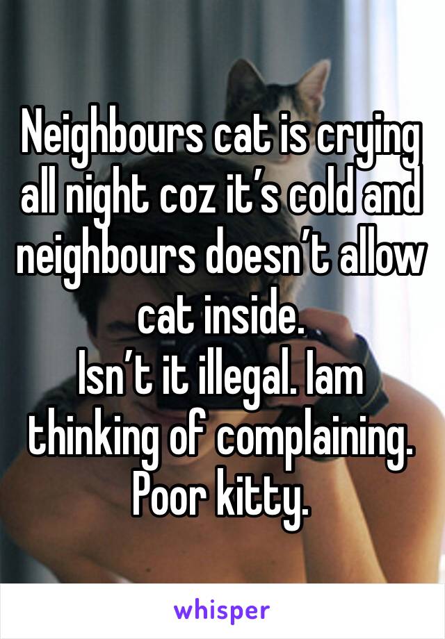 Neighbours cat is crying all night coz it’s cold and neighbours doesn’t allow cat inside. 
Isn’t it illegal. Iam thinking of complaining. Poor kitty. 