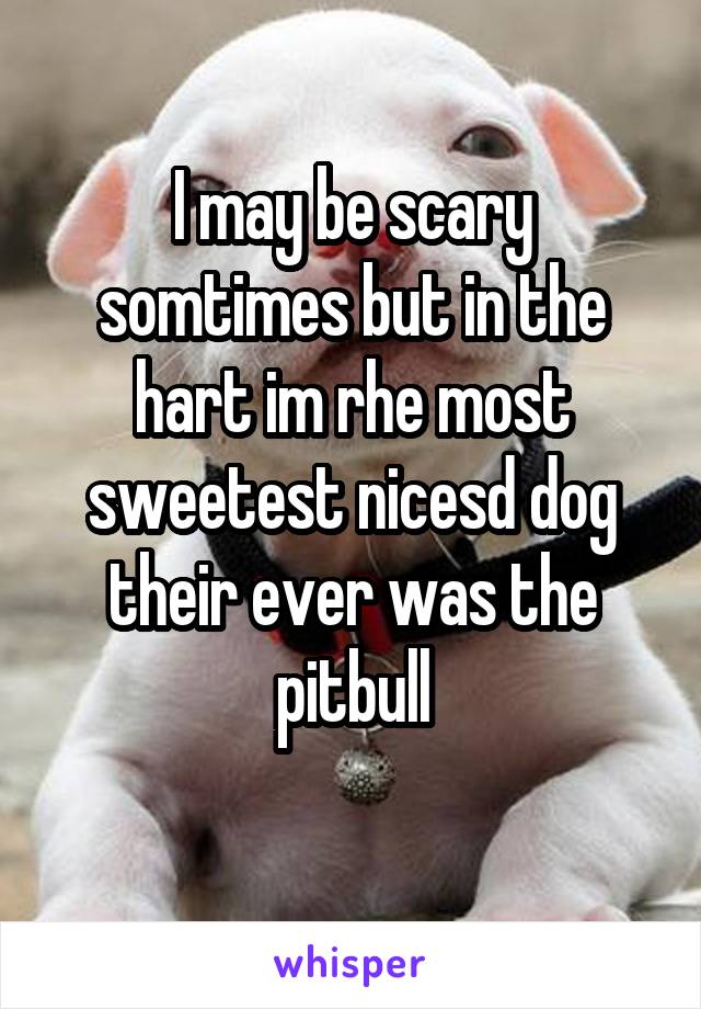 I may be scary somtimes but in the hart im rhe most sweetest nicesd dog their ever was the pitbull
