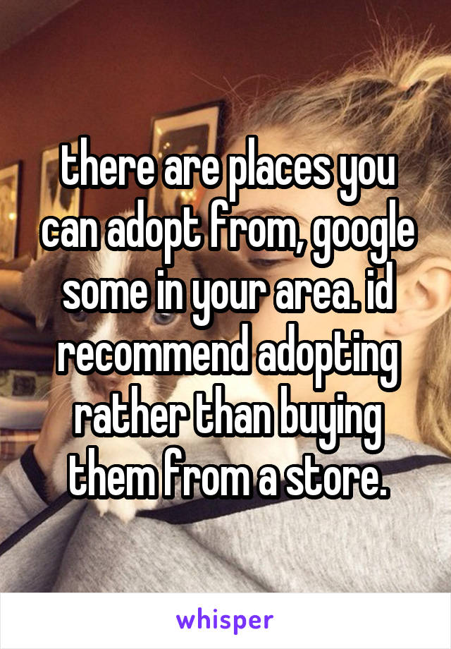 there are places you can adopt from, google some in your area. id recommend adopting rather than buying them from a store.