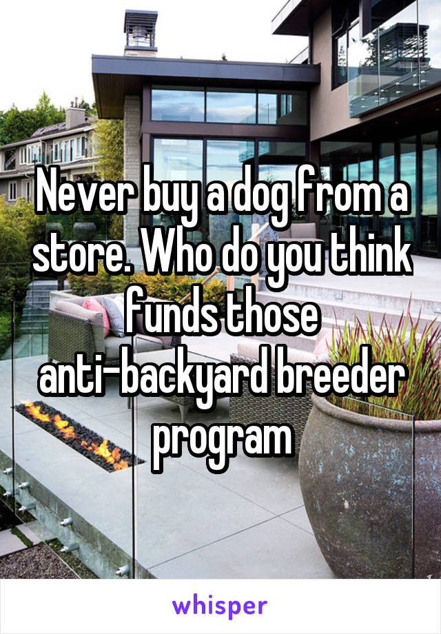 Never buy a dog from a store. Who do you think funds those anti-backyard breeder program