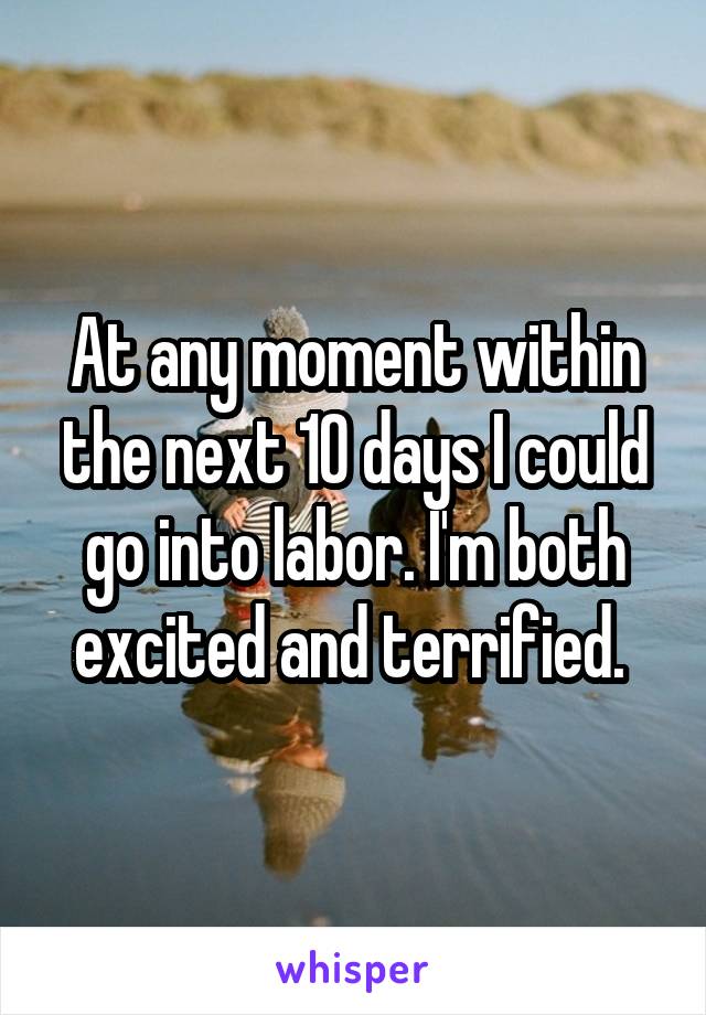 At any moment within the next 10 days I could go into labor. I'm both excited and terrified. 
