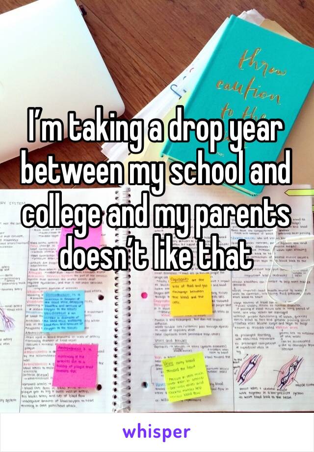 I’m taking a drop year between my school and college and my parents doesn’t like that 