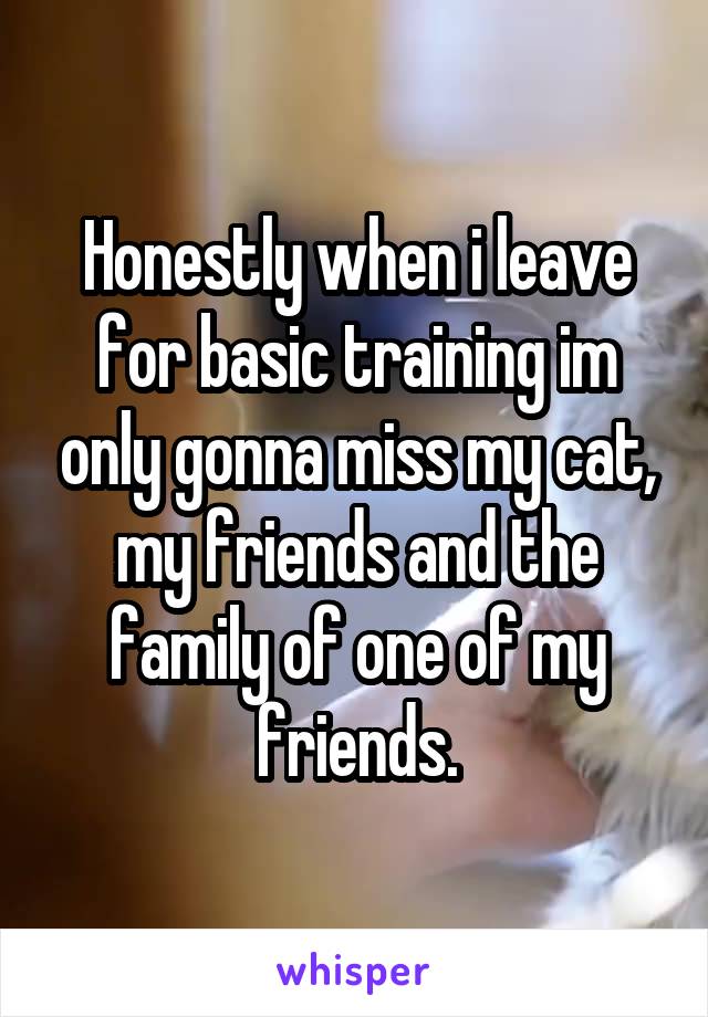 Honestly when i leave for basic training im only gonna miss my cat, my friends and the family of one of my friends.