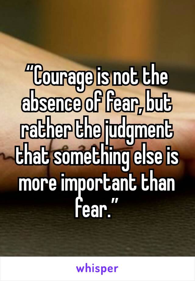 “Courage is not the absence of fear, but rather the judgment that something else is more important than fear.”