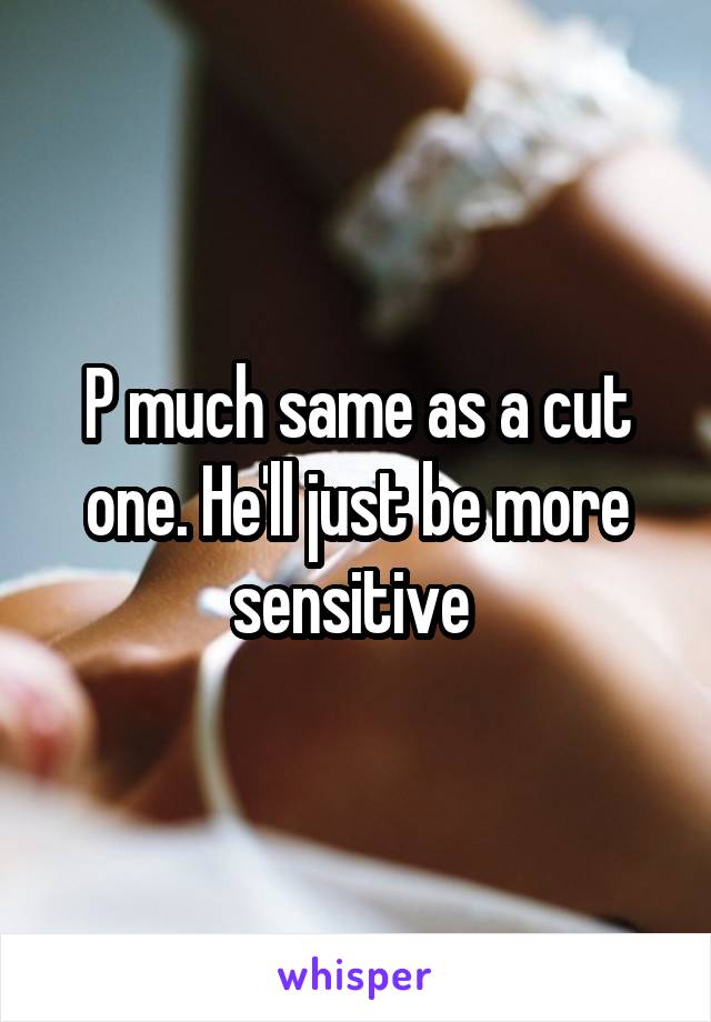 P much same as a cut one. He'll just be more sensitive 