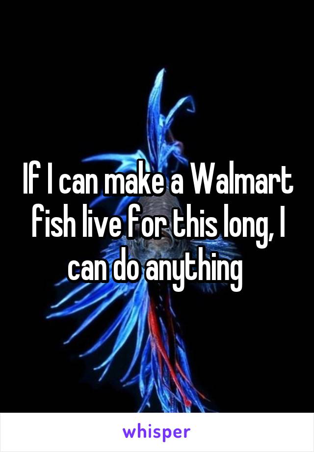 If I can make a Walmart fish live for this long, I can do anything 