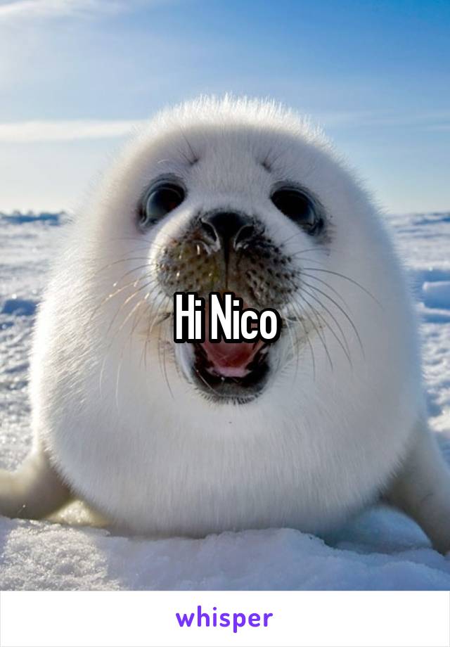 Hi Nico